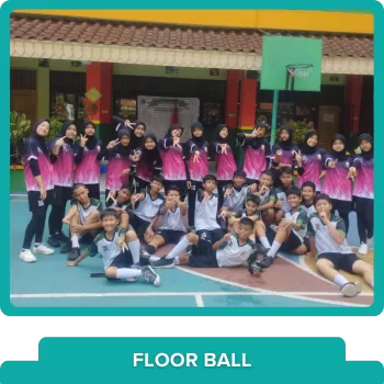 FLOOR BALL